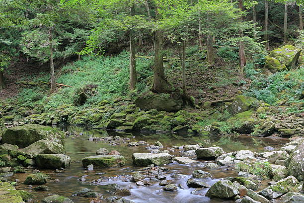 istock Akame 48 waterfalls valley in Mie Japan 605781942