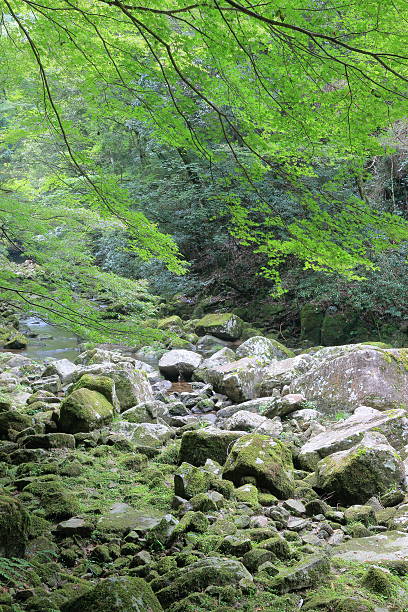 istock Akame 48 waterfalls valley in Mie Japan 605782462