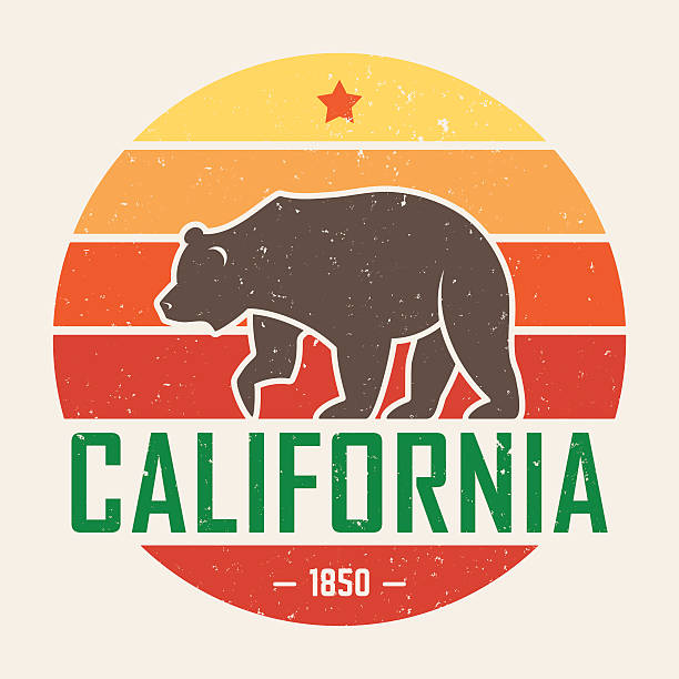 California t-shirt with grizzly bear. T-shirt graphics, design California t-shirt with grizzly bear. T-shirt graphics, design, print, typography, label, badge. Vector illustration. symbols of california stock illustrations