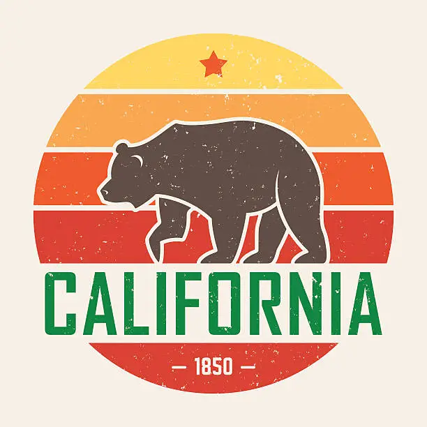 Vector illustration of California t-shirt with grizzly bear. T-shirt graphics, design