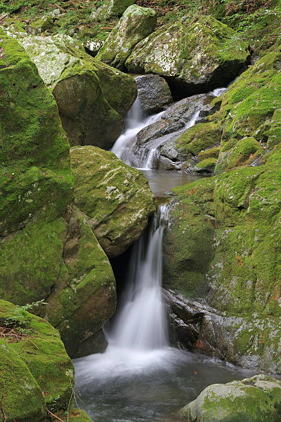 istock Akame 48 waterfalls valley in Mie Japan 605783388