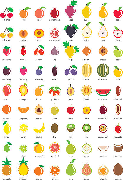 ilustraciones, imágenes clip art, dibujos animados e iconos de stock de iconos de frutas: gran conjunto de setenta y dos iconos vectoriales - plum grape fruit clip art