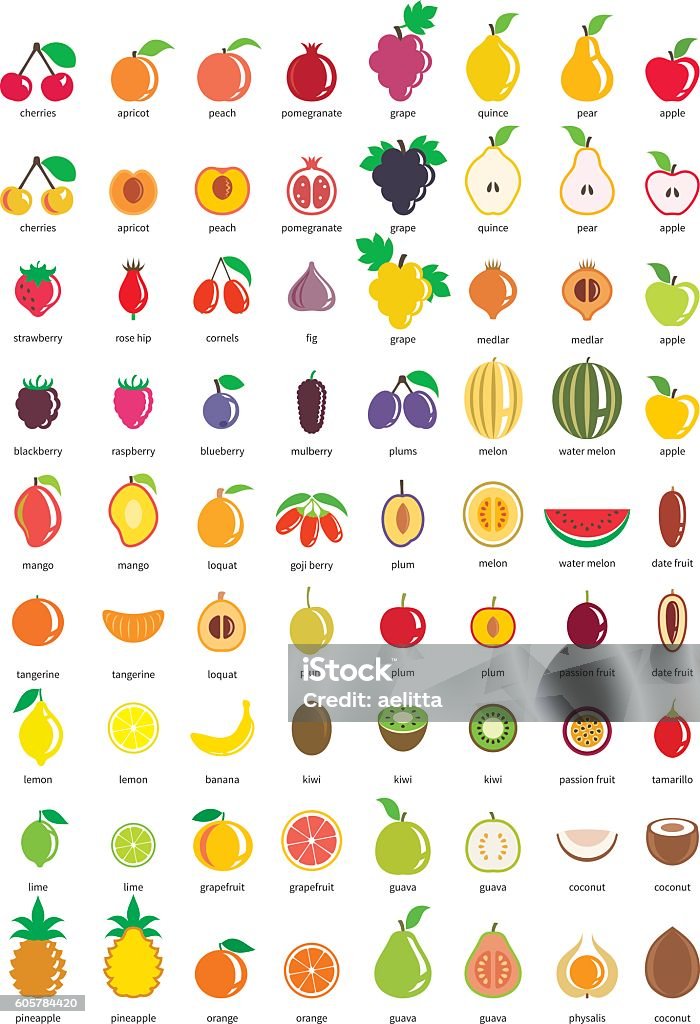Fruit icons – big set of seventy-two vector icons Multicolored fruit icon set Fruit stock vector