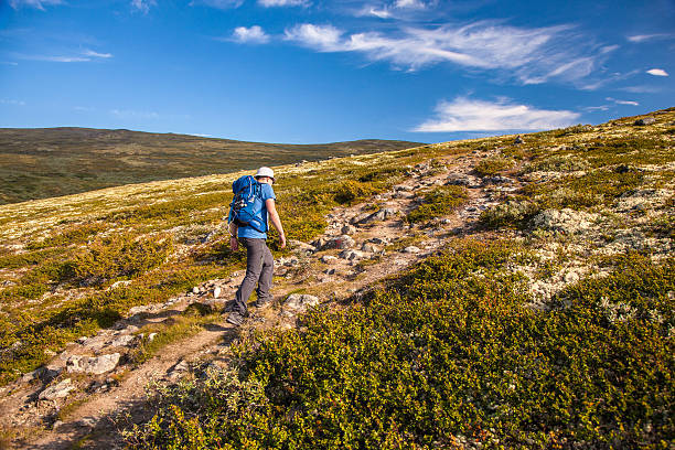 istock hiker with backpack traveling in Norway mountains Dovre 605784500