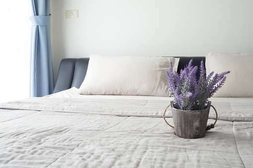 La cama con flor de lavanda púrpura en maceta. photo