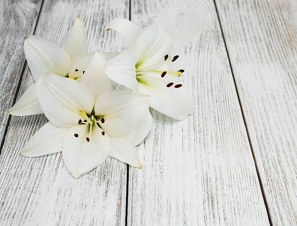 istock White  lilies on a wooden table 605788346