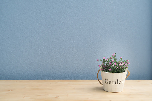 Wood table with pink rose on flower pot and  blue cement wall, Left copy space area.