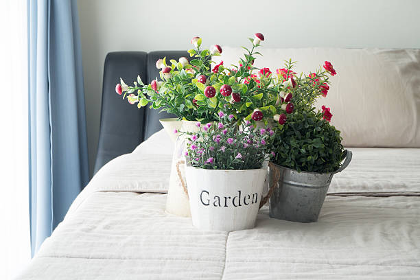 istock the bed with flower and dwarf tree on flower pot. 605956426