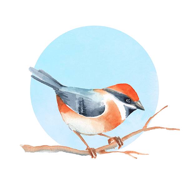 istock Bird on branch. Blue background. Watercolor painting. 605969106