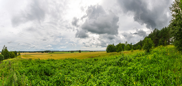 Summer landscape with clouds.