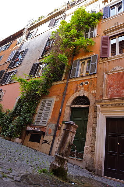istock Across Rome, Fountain 605976910