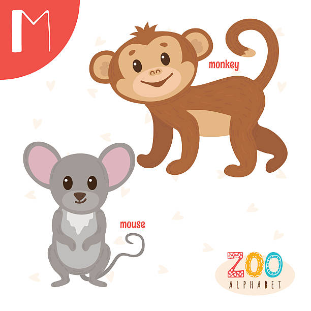 ilustraciones, imágenes clip art, dibujos animados e iconos de stock de letra m. animales lindos. divertidos animales de dibujos animados en vector - monkey sketch drawing showing