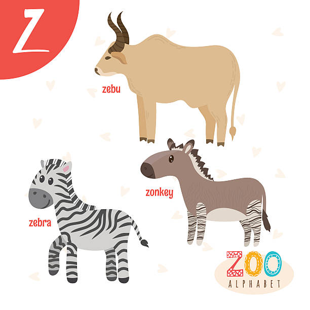 Letter Z Cute Animals Funny Cartoon Animals In Vector Stock Illustration -  Download Image Now - iStock