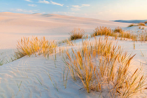 istock beautiful view of the coastal dunes 605980594