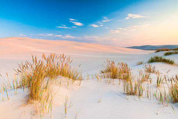 istock beautiful view of the coastal dunes 605980632