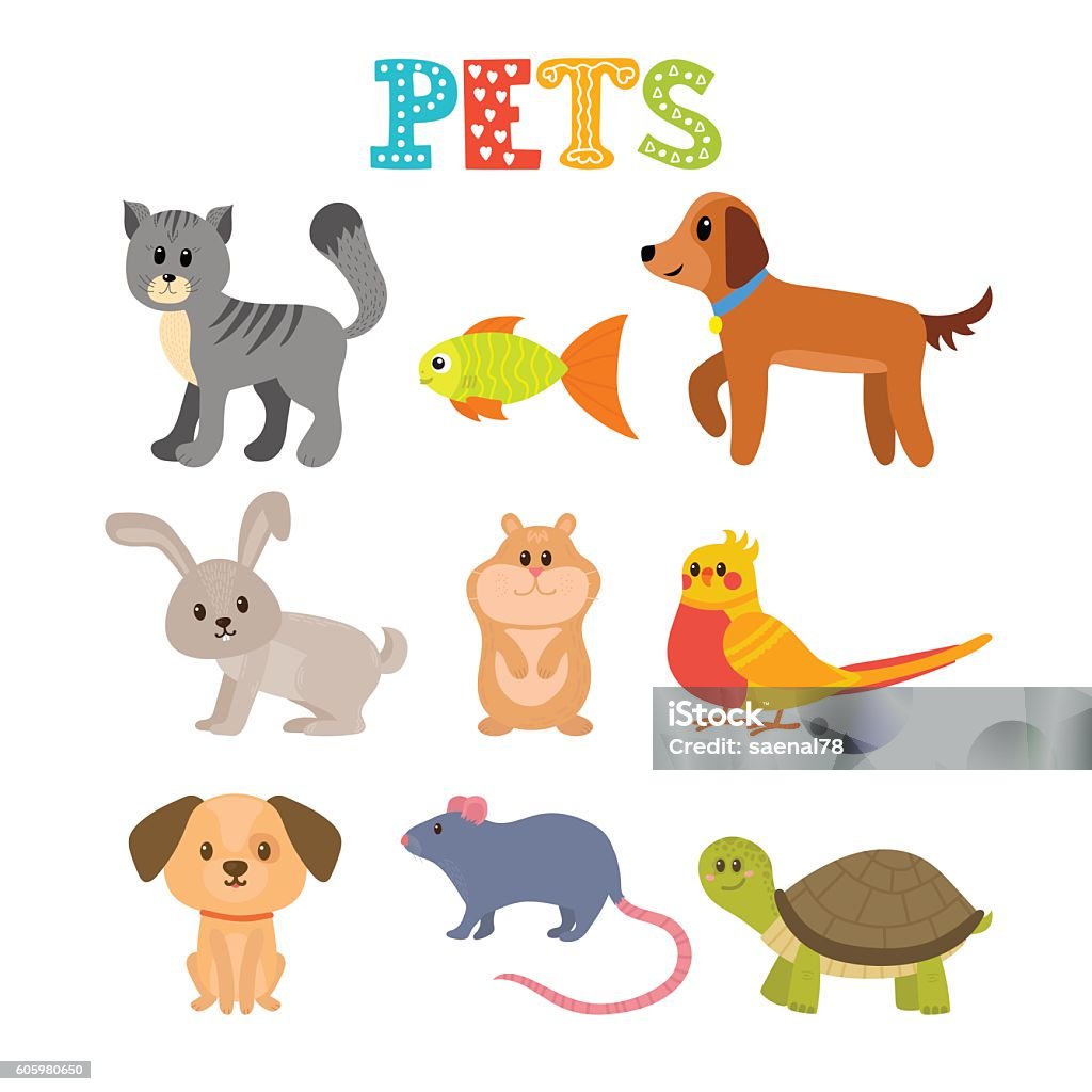 Set Of Pets Cute Home Animals In Cartoon Style Stock Illustration -  Download Image Now - Rabbit - Animal, Turtle, Pets - iStock