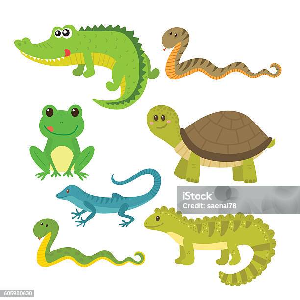 Set Of Creeping Things Wild Animals Stock Illustration - Download Image Now - Snake, Turtle, Vector