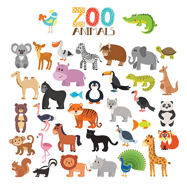 vektor-sammlung von zoo-tieren. satz von niedlichen cartoon-tiere - safaritiere stock-grafiken, -clipart, -cartoons und -symbole