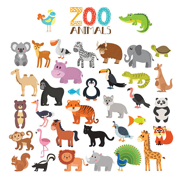 ilustrações, clipart, desenhos animados e ícones de coleção de vetores de animais do zoológico. conjunto de animais de desenho animado fofos - animal de safari