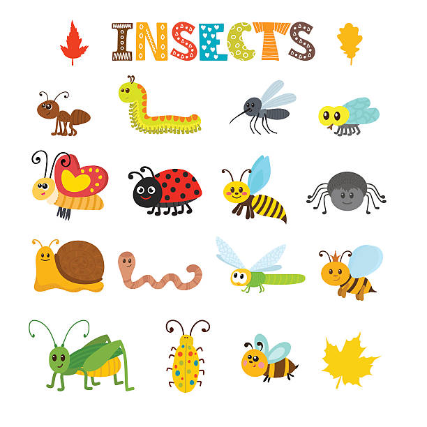 ilustraciones, imágenes clip art, dibujos animados e iconos de stock de vector set of cartoon insects. colección de errores de colores - mosca insecto ilustraciones