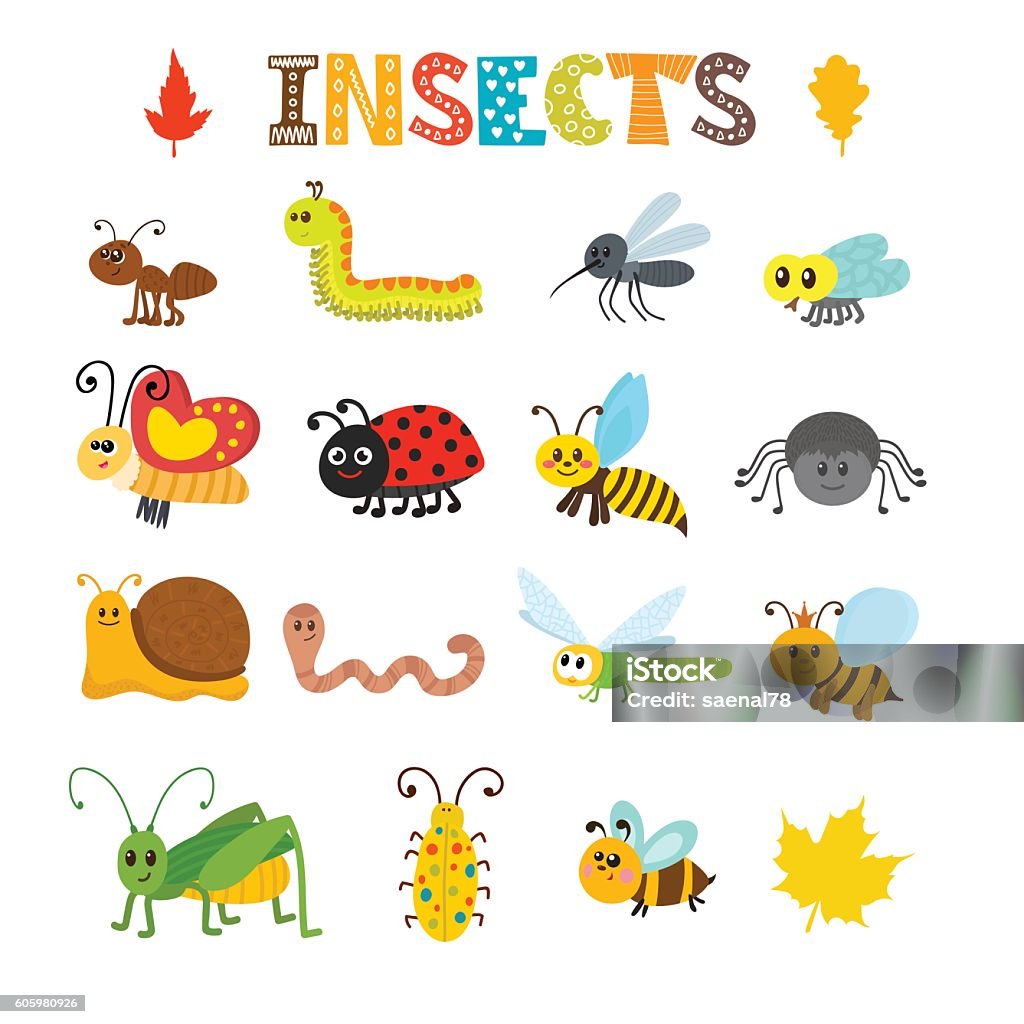 Vector Set Of Cartoon Insects Colorful Bugs Collection Stock ...