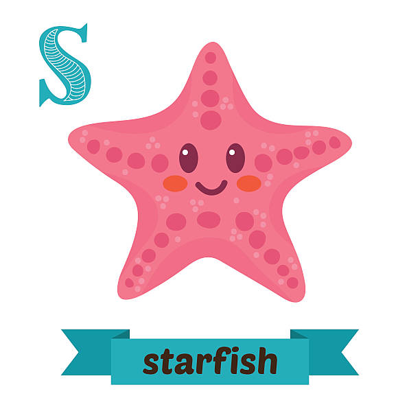illustrazioni stock, clip art, cartoni animati e icone di tendenza di stella marina. lettera s. simpatici bambini alfabeto animale in vettore - stella di mare