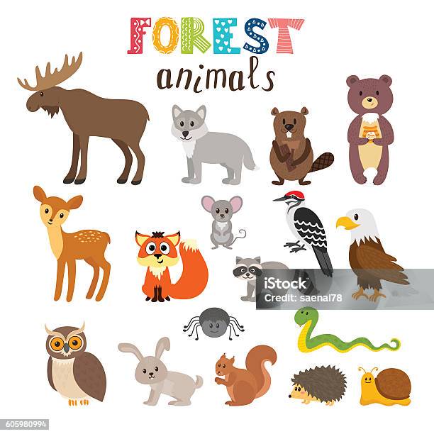 Set Of Cute Forest Animals In Vector Woodland Cartoon Style Stock Illustration - Download Image Now