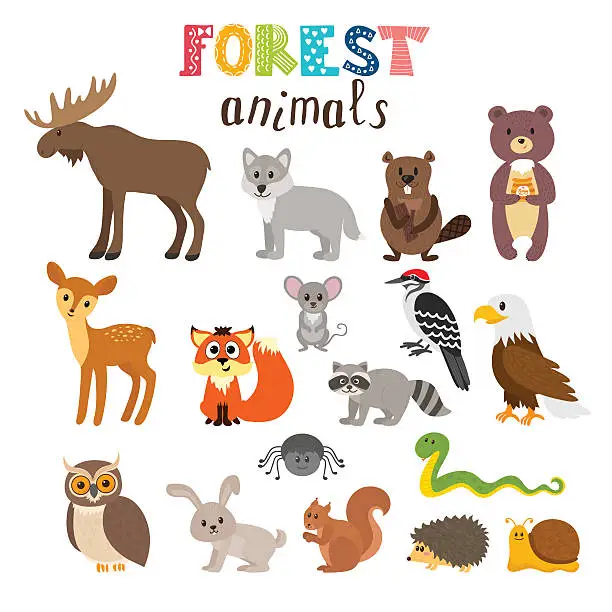 Vector illustration of Set of cute forest animals in vector. Woodland. Cartoon style