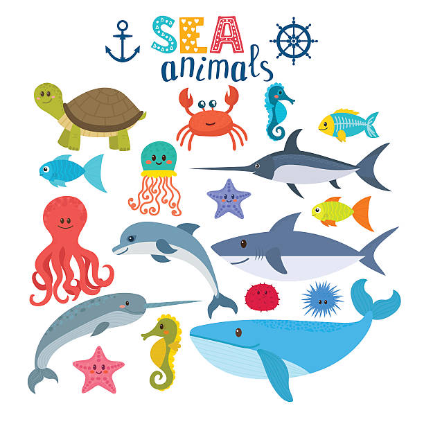 ilustraciones, imágenes clip art, dibujos animados e iconos de stock de conjunto vectorial de criaturas marinas. lindos animales de dibujos animados - dolphin animal sea underwater