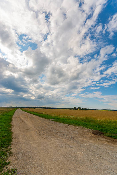 istock Green and yellow field with Contry road. 605984796