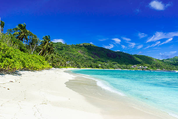 istock Petite Anse - beautiful beach on island Mahe, Seychelles 605989954