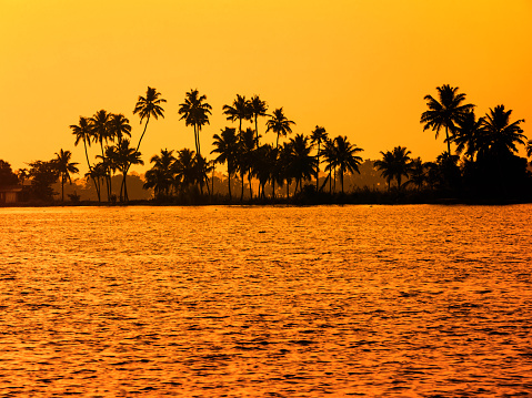beautiful sultry tropical sunset landscape with silhouette of palm trees, travel background, India