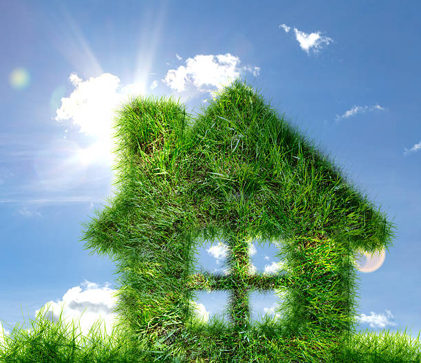 istock House made of green grass on blue sky 605992266