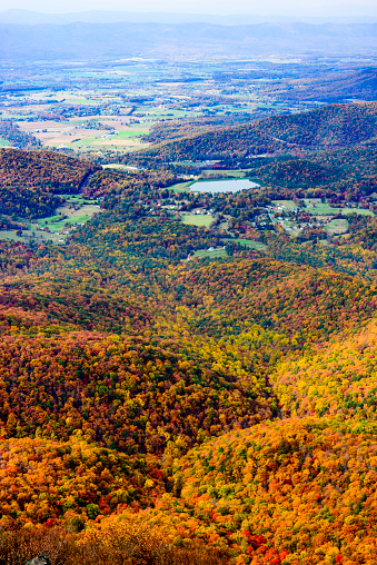The vibrant colors of the autumn forest below.  Shenandoah National Park, Virginia.