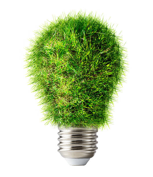 istock Lamp bulb made of green grass 605992972