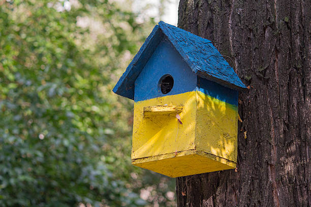 istock Birdhouse painted in bright colors hanging on a tree. Nature 605993284