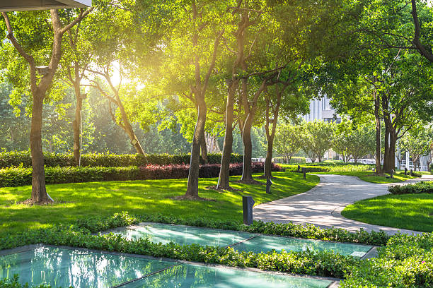 istock beautiful park at a sunny day 605993802