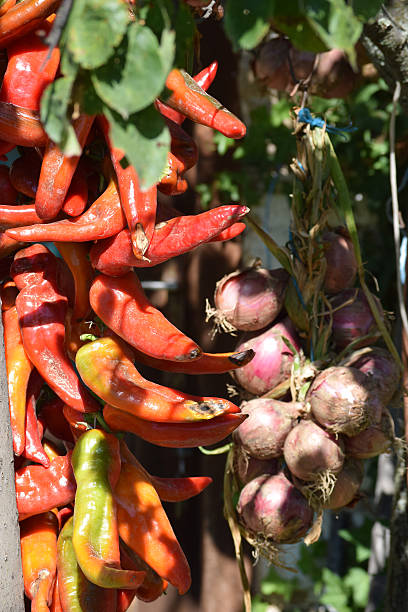istock Bunch peppers  in the garden 605995544