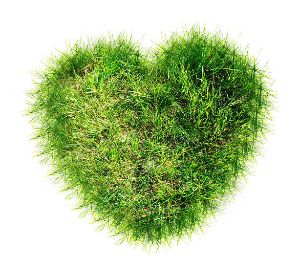 istock Heart made of green grass 605995956