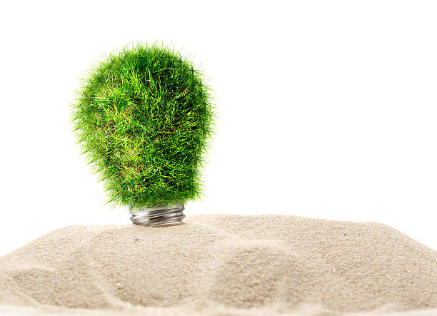 istock Lamp bulb made of green grass 605996202