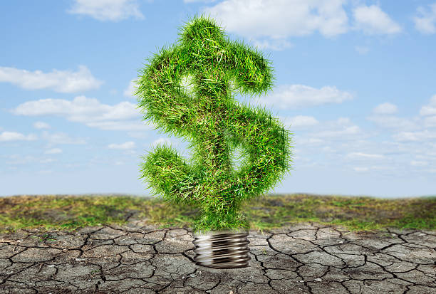 istock Green dollar sign on dry soil 605996994
