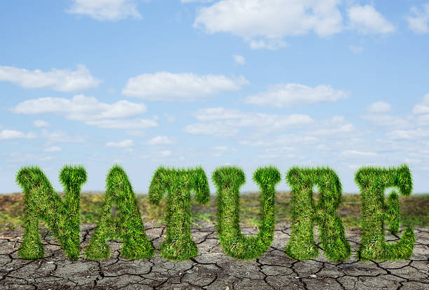 istock Nature sign on dry soil 605997124
