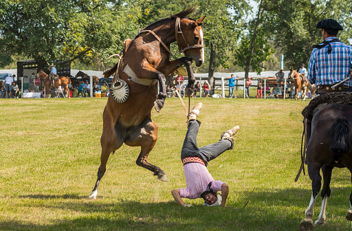 Baradero, Argentina - March 2, 2014: Horse rider falling from a wild horse at the Rodeo in Baradero, Argentina. \