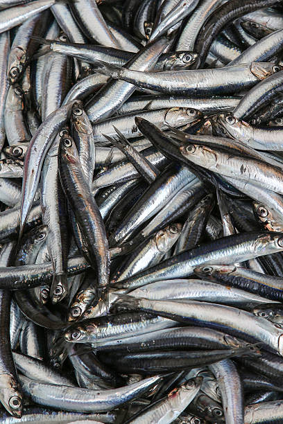 istock Anchovies 606001670