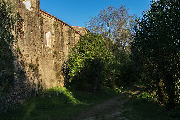 istock Road in Montemor or Novo 606003614