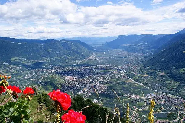 Mountains and valleys in South Tyrol, Italy. View to the spa town Merano and the Etsch Valley. Red Geraniums and blue sky, white clouds
