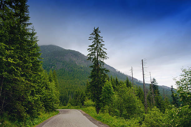 istock country road at the mountain 606005354