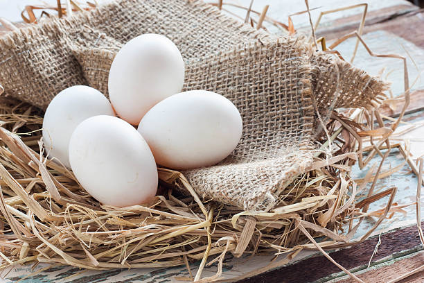 Organic white eggs on vintage wooden background.