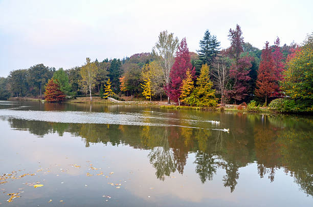 istock Autumn trees around lake. Fall trees reflected in lake. 606007250
