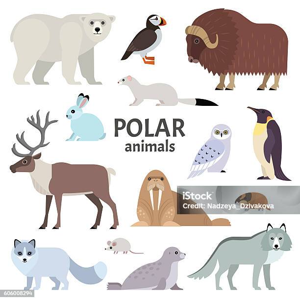 Polar Animals Stock Illustration - Download Image Now - Animal, Animal Themes, Polar Bear